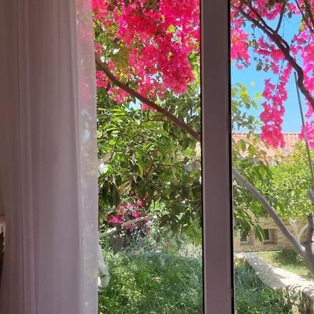 Vila 15 Bougainville Sarandë 外观 照片